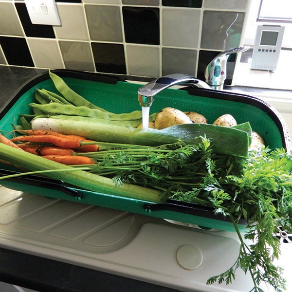 Colander trug