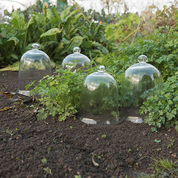 Classic bell cloche