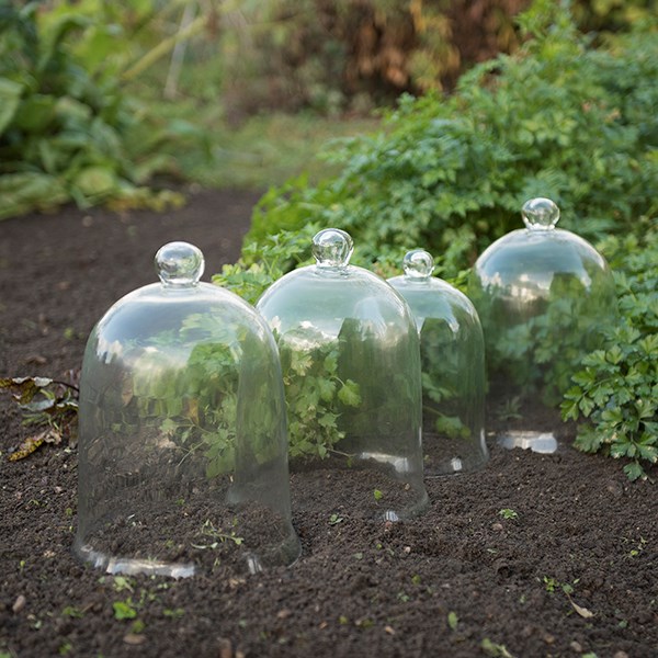 Classic bell cloche