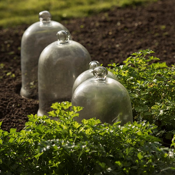 Classic bell cloche