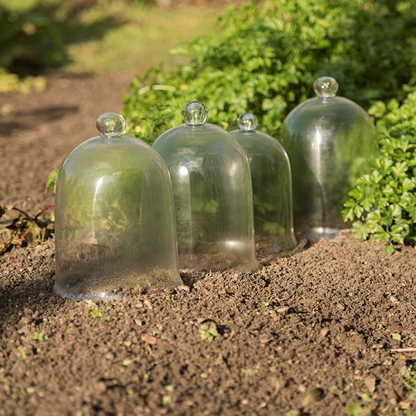 Classic bell cloche
