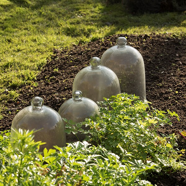 Classic bell cloche
