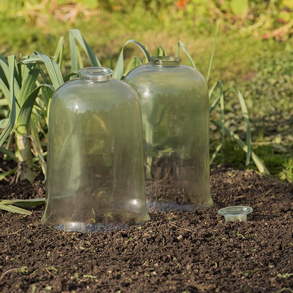 Ventilating cloche