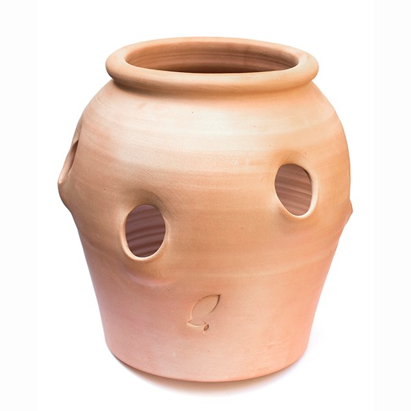 Terracotta herb pot/strawberry pot