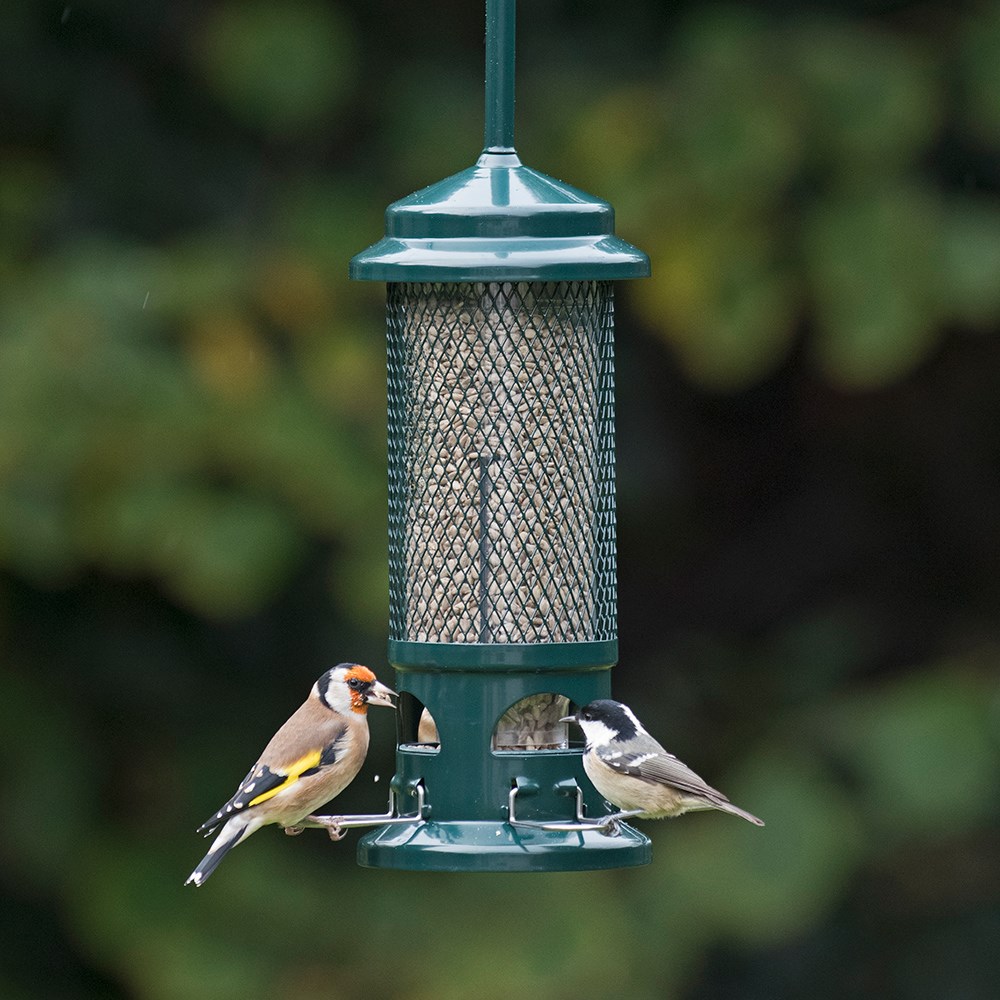 The squirrel buster seed feeder