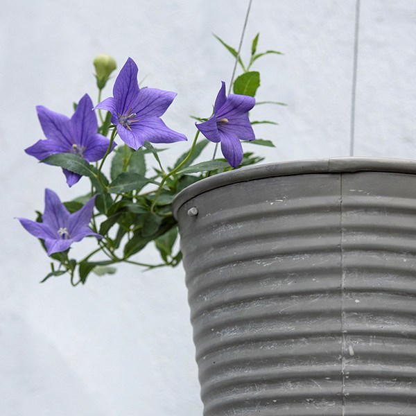 Hanging galvanised metal ribbed planter - aged zinc