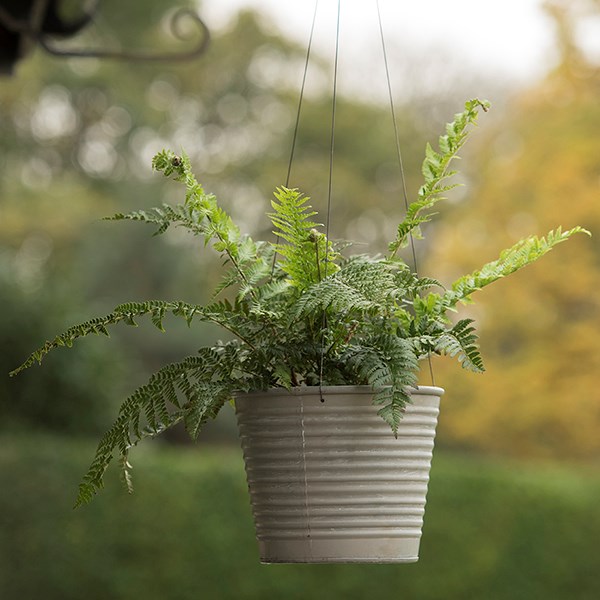 Hanging galvanised metal ribbed planter - aged zinc