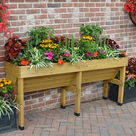VegTrug wallhugger medium