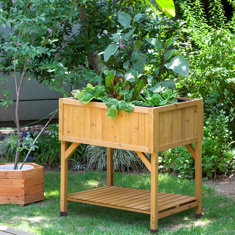 RHS VegTrug raised bed planter