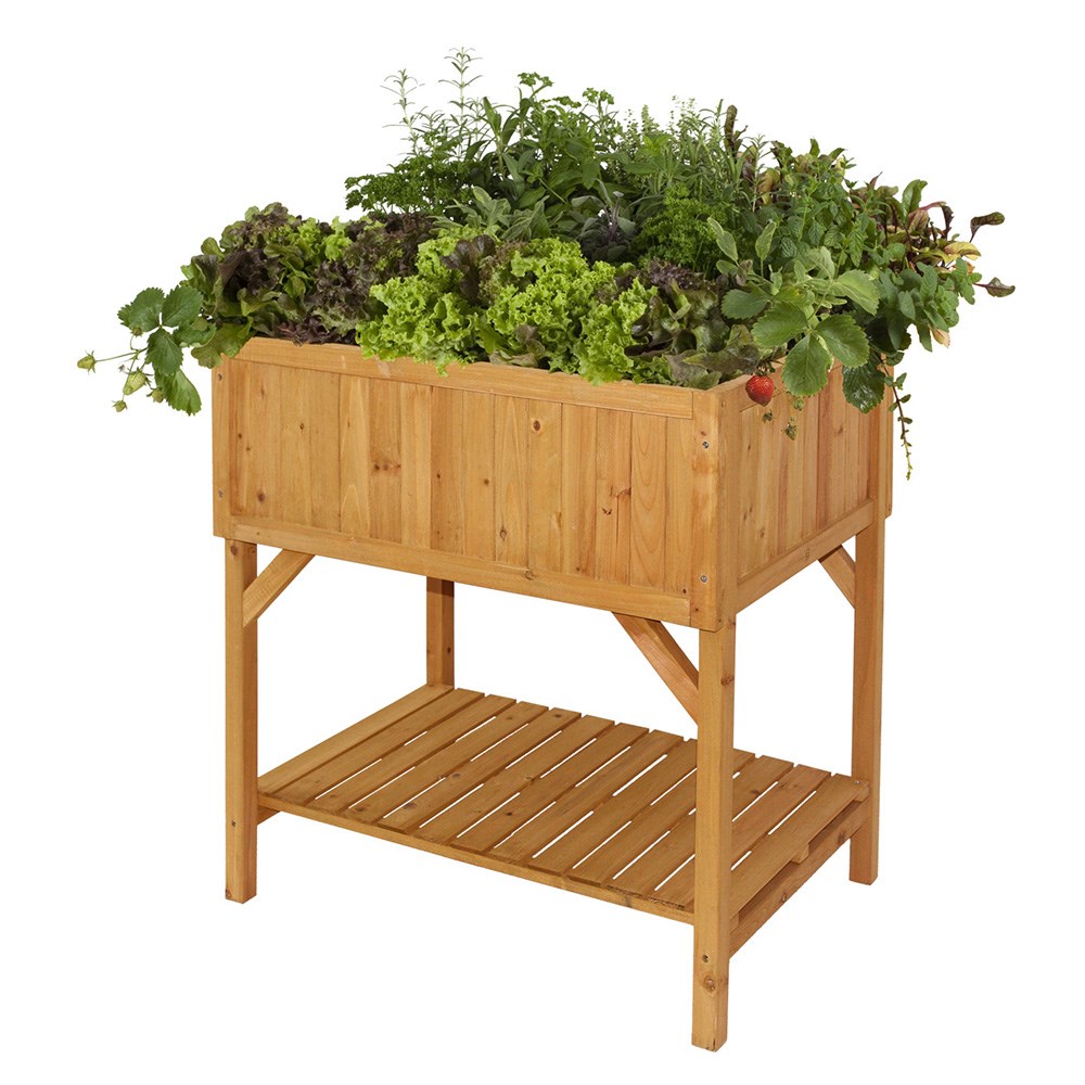 RHS VegTrug raised bed planter
