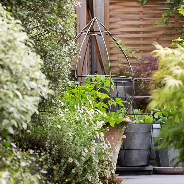 Tear drop plant support - antique zinc