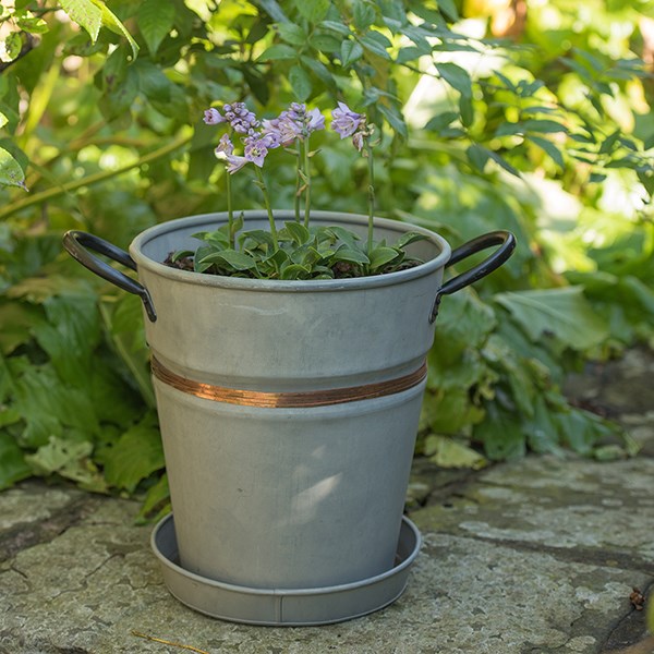 Galvanised metal planter with copper belt and tray