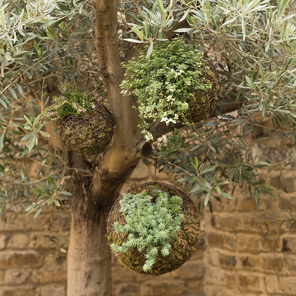 Hanging crazy wire ball