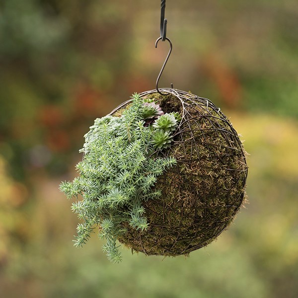 Hanging crazy wire ball