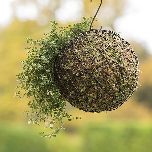 Hanging crazy wire ball