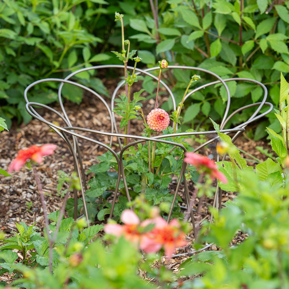 Bulb/peony support - pewter