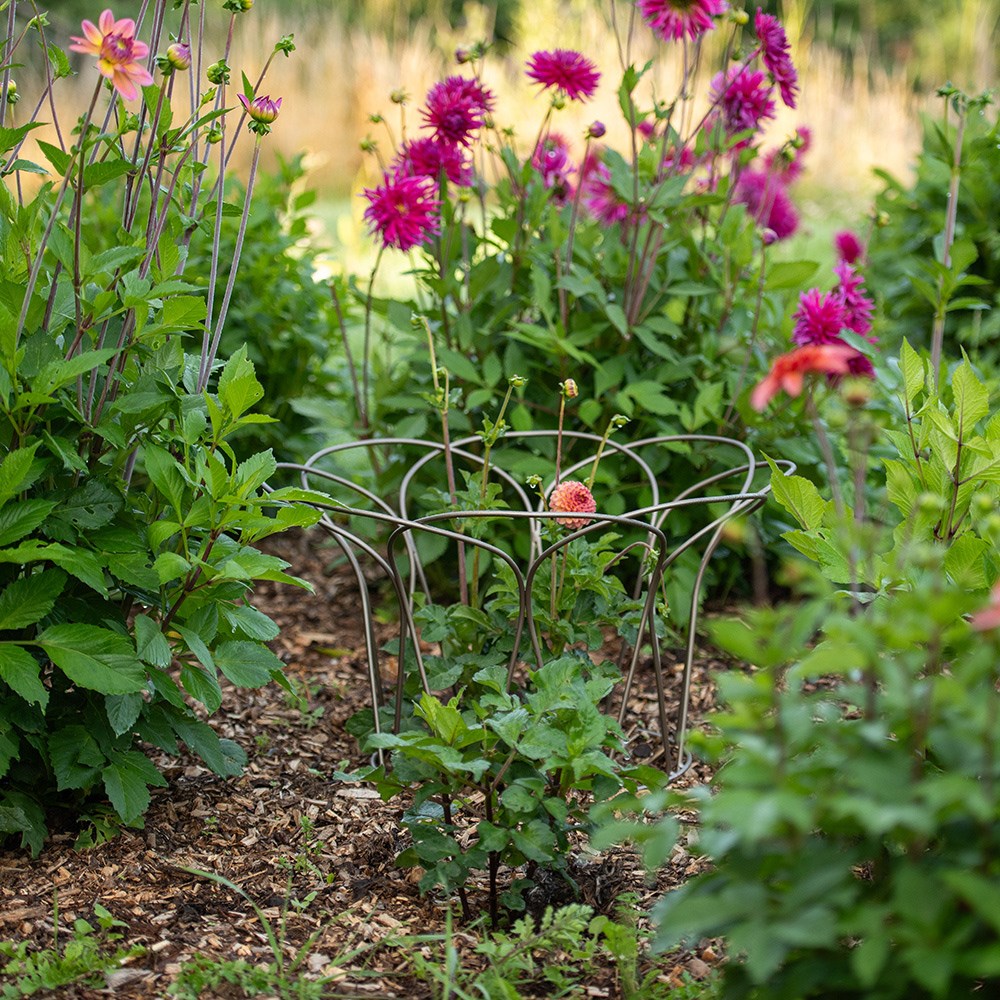 Bulb/peony support - pewter
