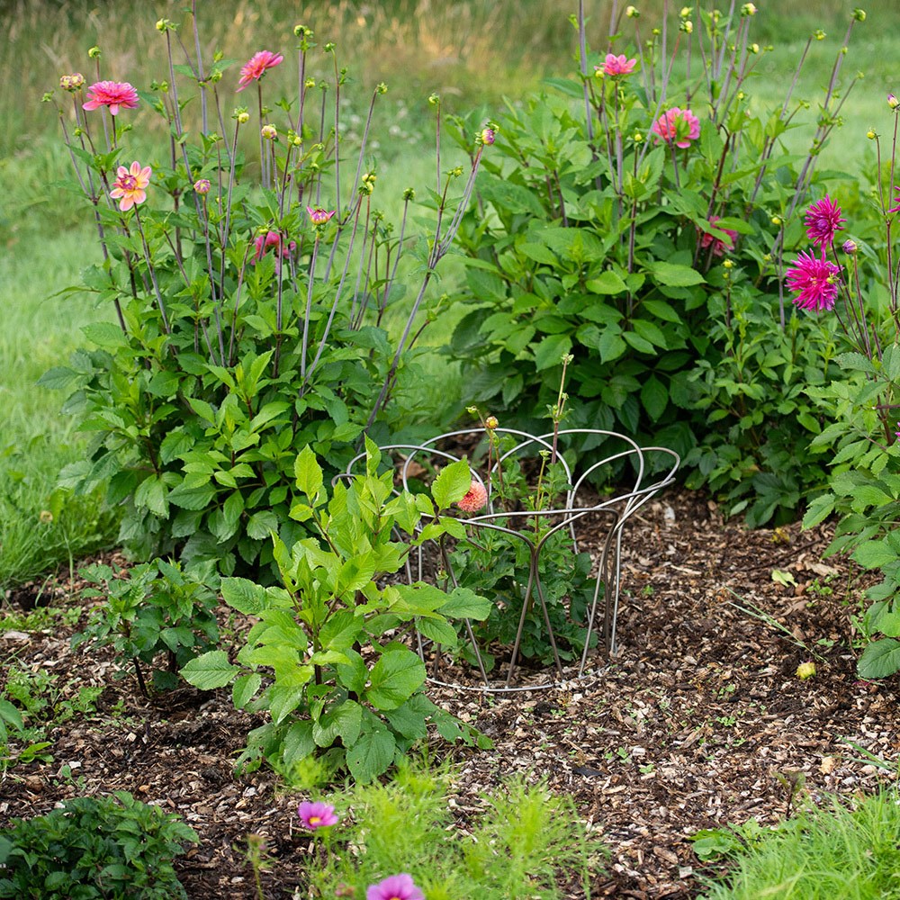Bulb/peony support - pewter