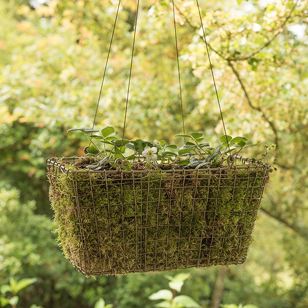 Rectangular net hanging basket