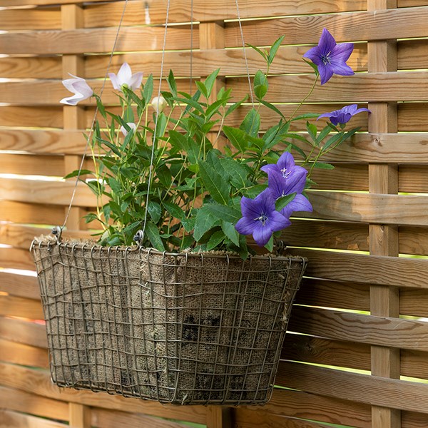 Rectangular net hanging basket