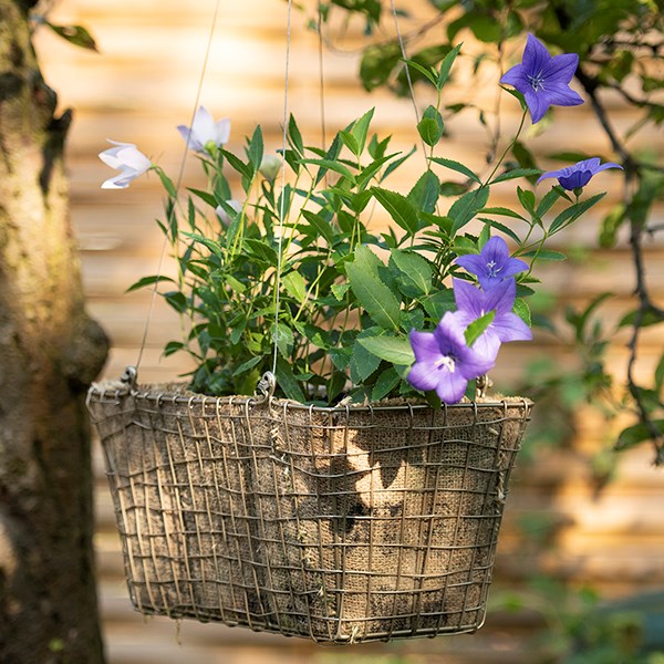 Rectangular net hanging basket
