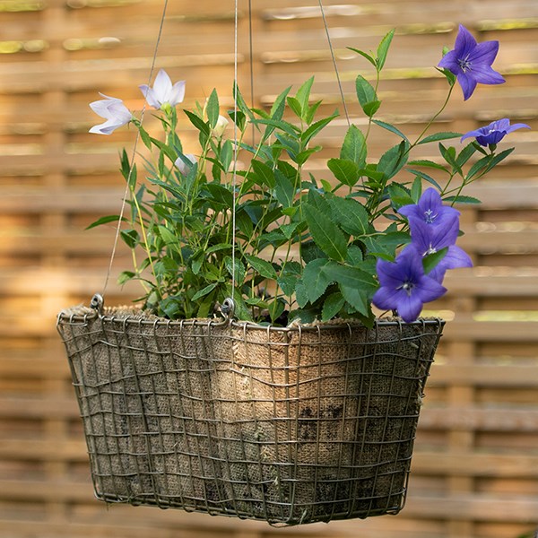 Rectangular net hanging basket