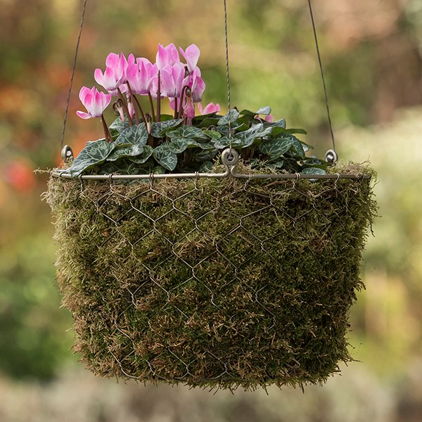 Hanging woven chicken wire basket