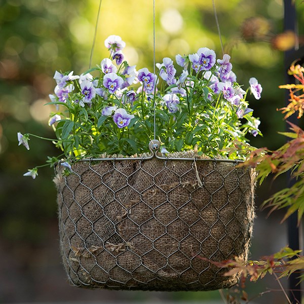 Hanging woven chicken wire basket