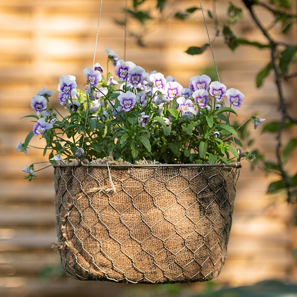 Hanging woven chicken wire basket