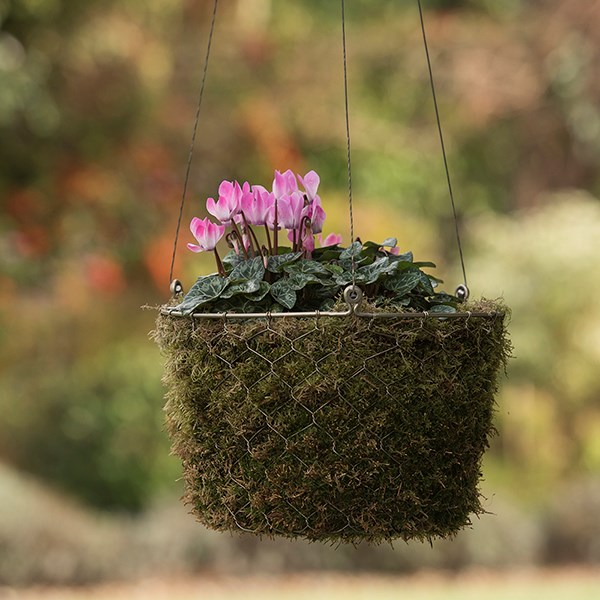 Hanging woven chicken wire basket