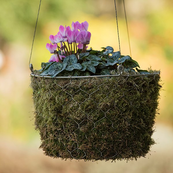 Hanging woven chicken wire basket