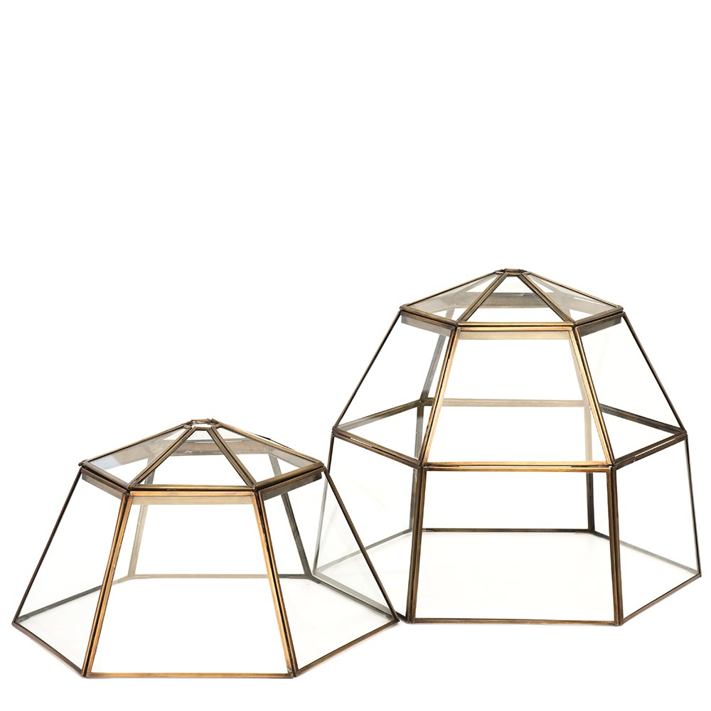 Lantern cloche with lid