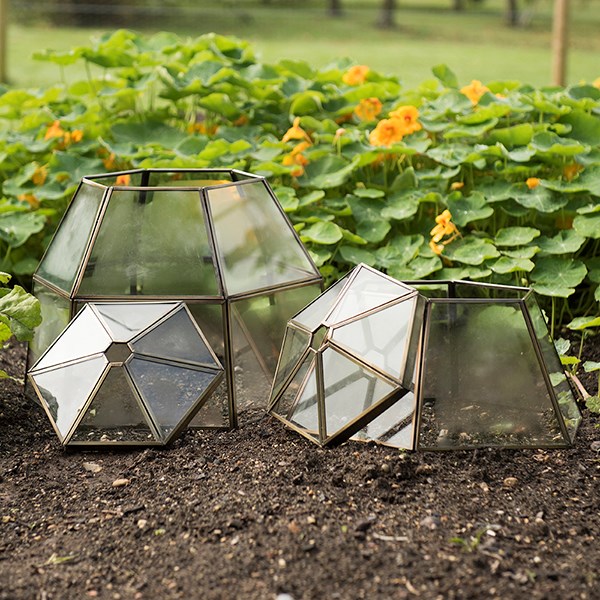 Lantern cloche with lid