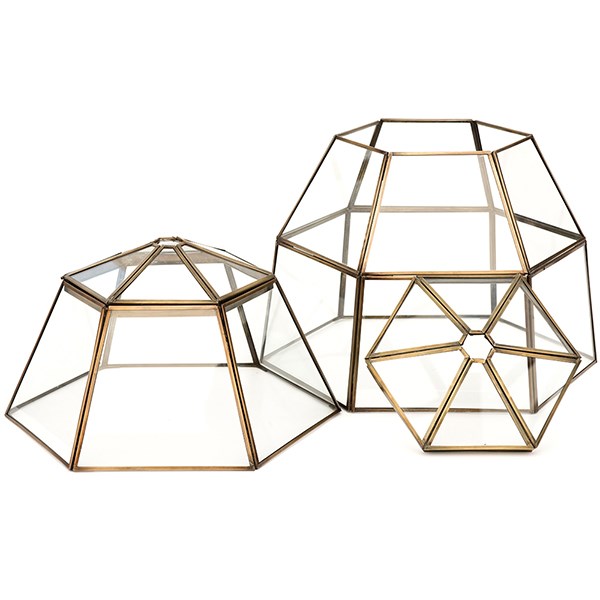 Lantern cloche with lid
