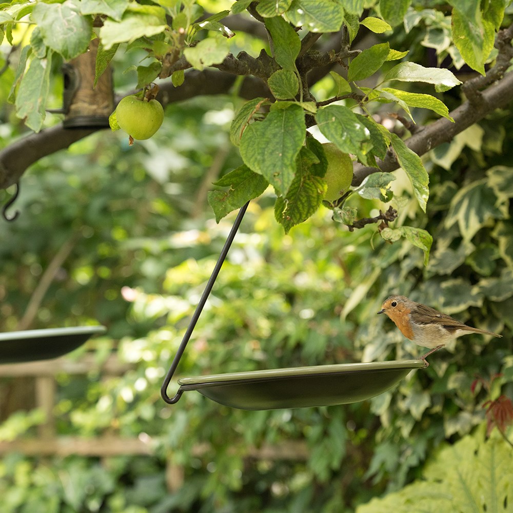 Hanging water bowl and meal worm tray - Crocus green