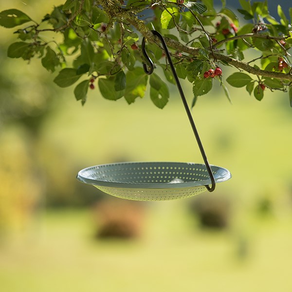 Hanging water bowl and meal worm tray - Crocus green