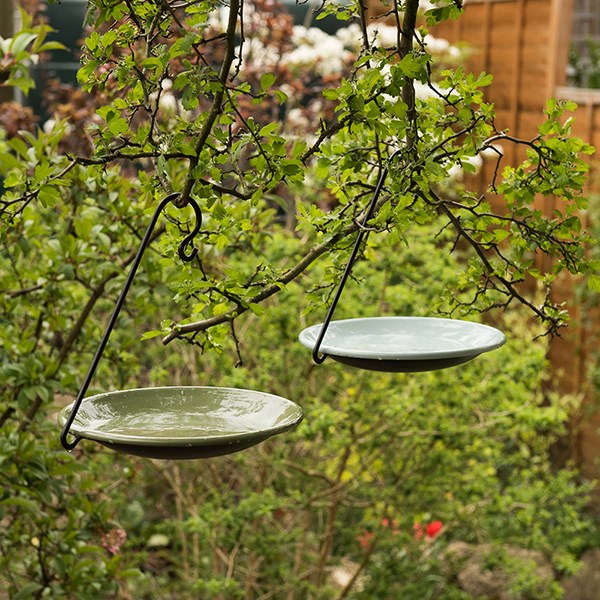 Hanging water bowl and meal worm tray - Crocus green
