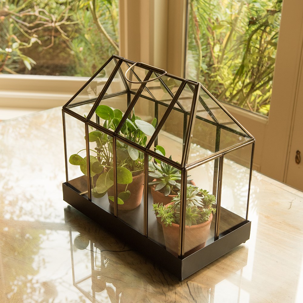 House terrarium