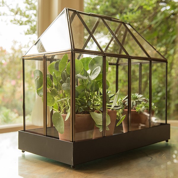 House terrarium