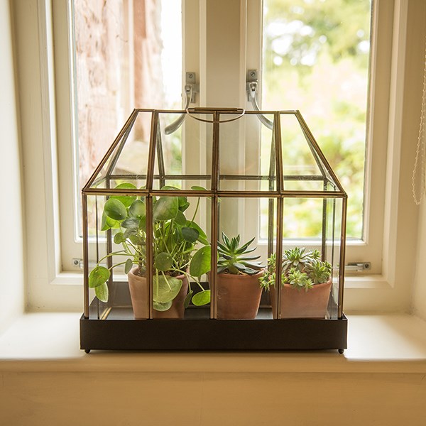 House terrarium