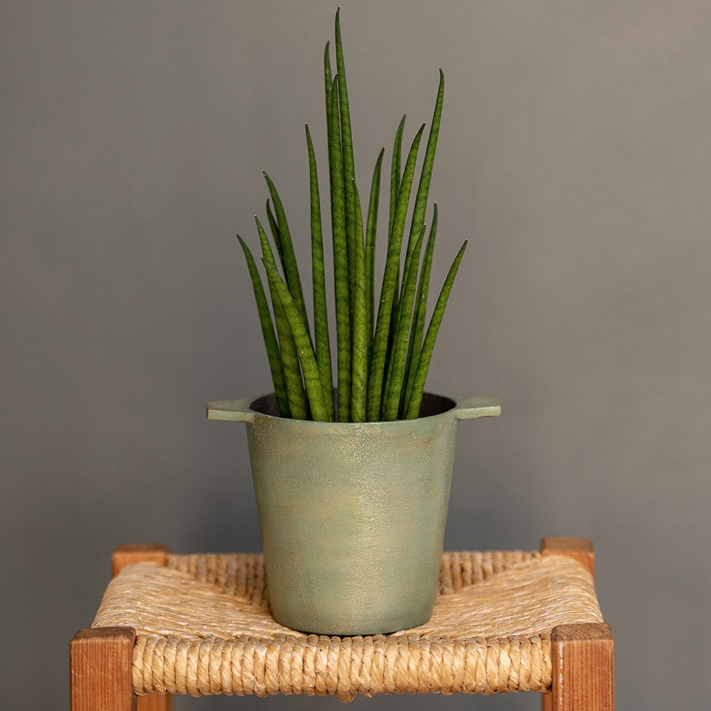 Cast aluminium pot cover with verdigris patina