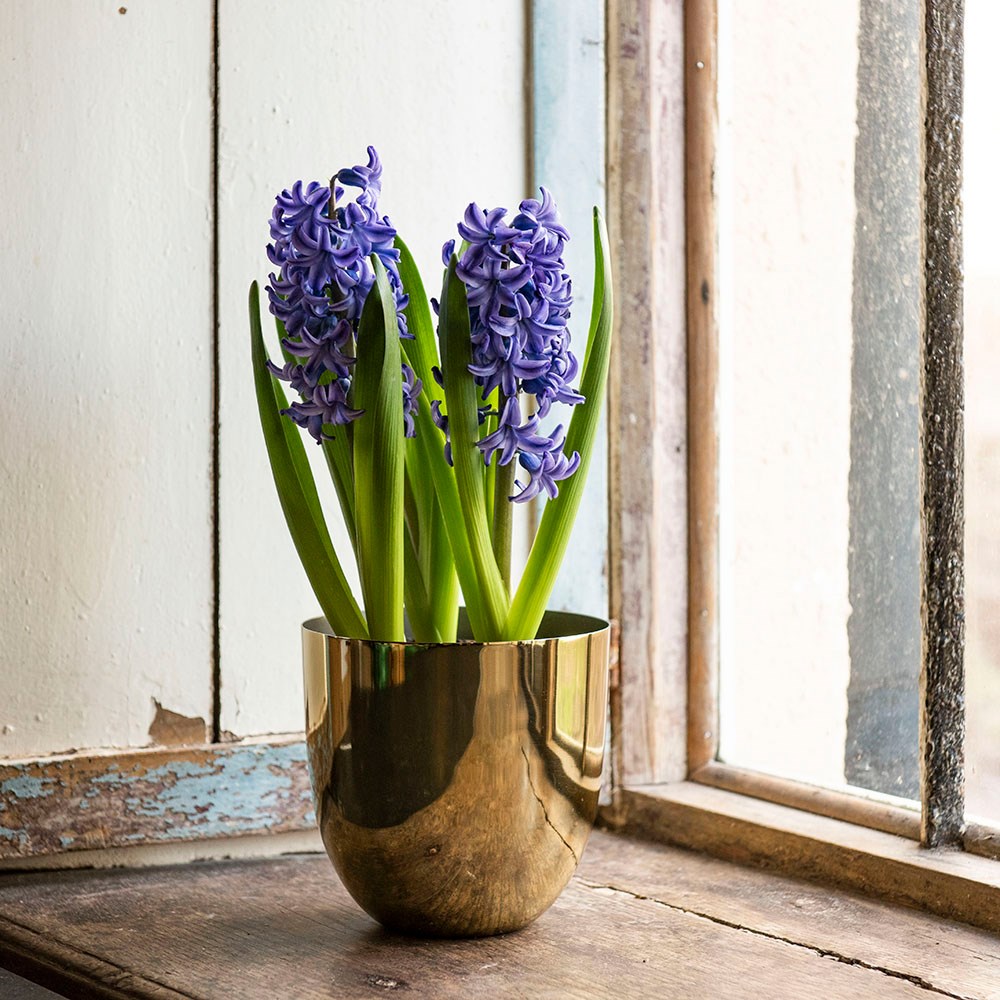 Polished brass pot cover
