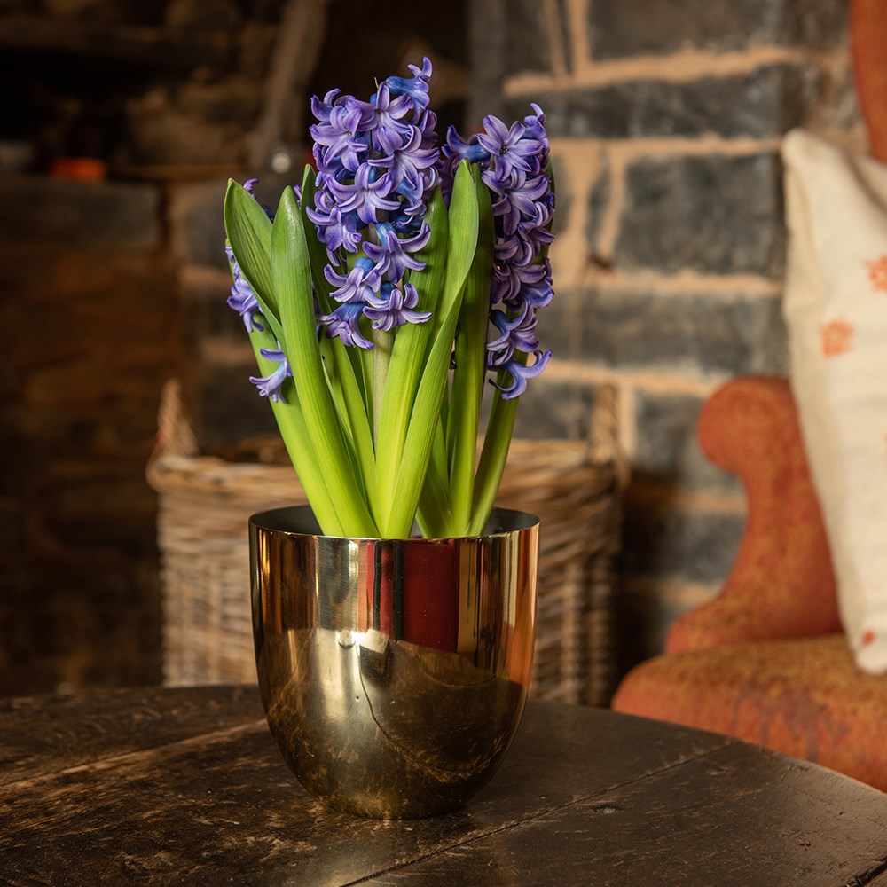Polished brass pot cover