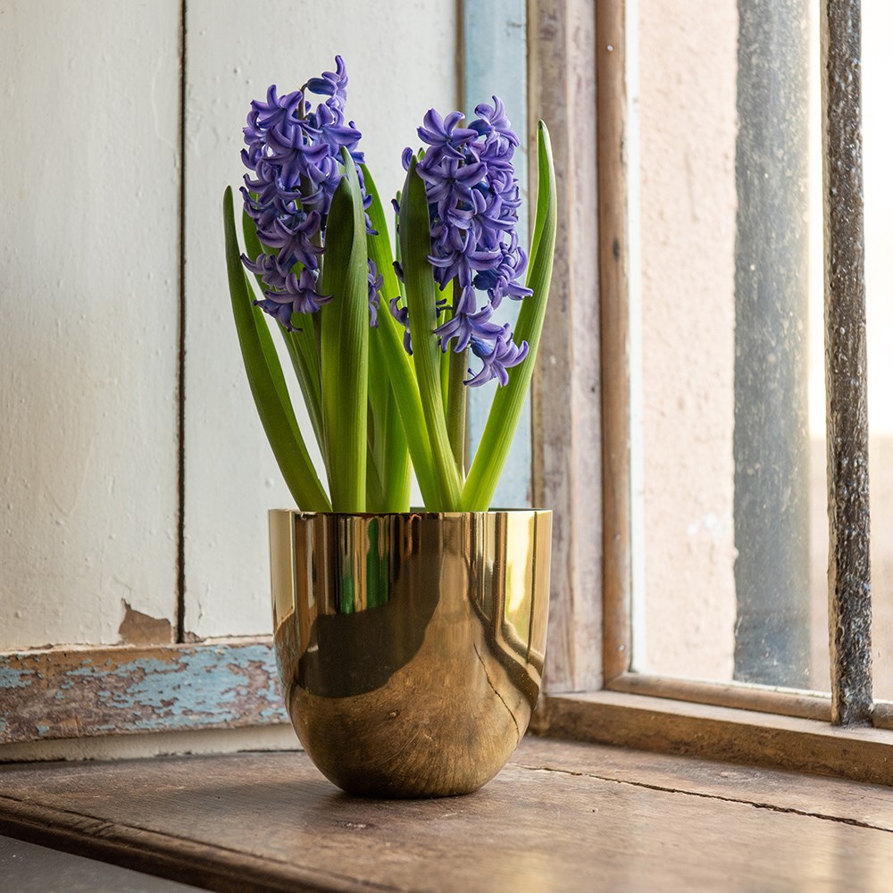 Polished brass pot cover