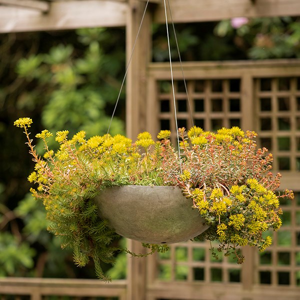 Hanging sphere planter