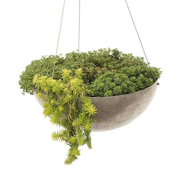 Hanging sphere planter