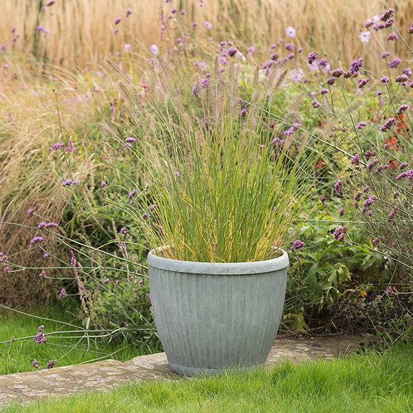Dolly pot - aged zinc