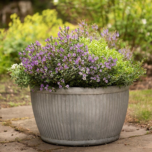Dolly bowl - aged zinc