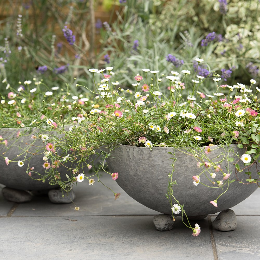Sphere plant bowl