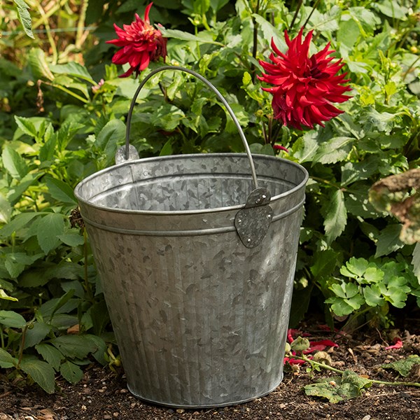 Galvanised metal bucket